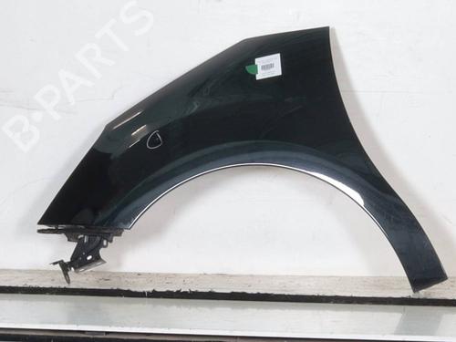 left-front-fenders-citroen-c3-ii-sc_-2009-29137389 main image