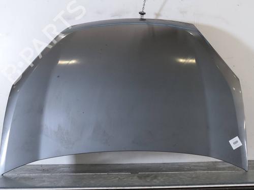 hood-fiat-doblo-cargo-263_-2010-39403181 main image