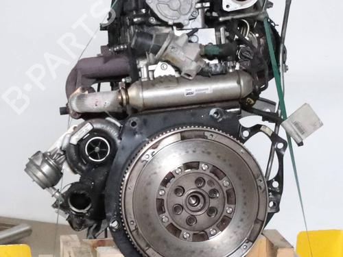 Engine FIAT BRAVO II (198_) 1.9 D Multijet (198AXB1A) | BP28706868M1