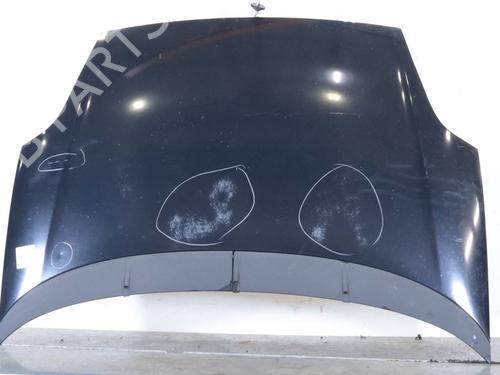 hood-fiat-punto-evo-199_-2008-34151191 main image