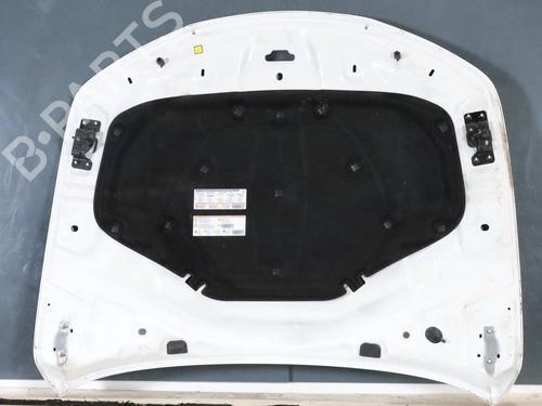 Hood ALFA ROMEO GIULIA (952_) 2.0 (952ACA25) | BP30111652C1 