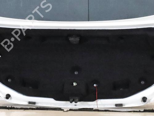 Tailgate ALFA ROMEO GIULIA (952_) 2.0 (952ACA25) | BP30111666C6 