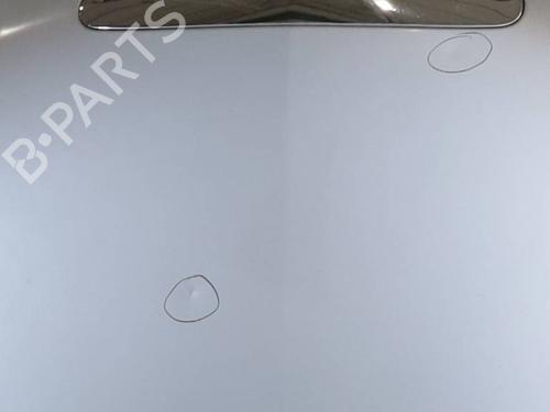 Panser LANCIA YPSILON (843_) 1.3 D Multijet (843.AXF11, 843.AXF1A, 843.AXM11,... (75 hp) 31648089