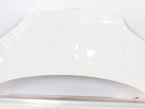 Used Hood FIAT PANDA (312_, 319_) 1.0 Mild Hybrid (312.PYD1B) (69 hp) 24450403