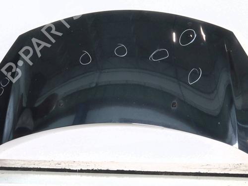 hood-citroen-c3-ii-sc_-2009-29137382 main image