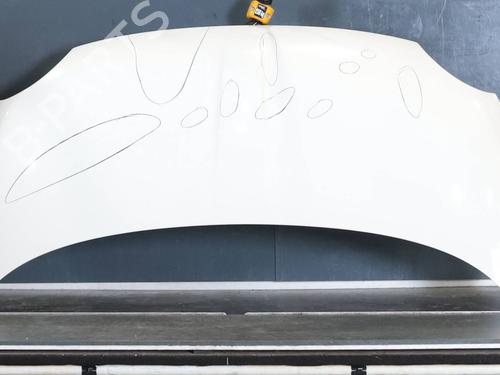 hood-fiat-500-312_-2007-39881129 main image