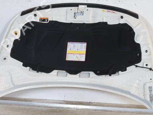 Hood FIAT TIPO Hatchback (356_, 357_) 1.6 Multijet (357HXG1) | BP27804093C1