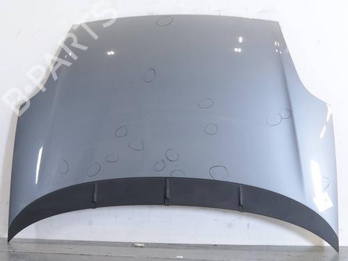 hood-fiat-punto-evo-199_-2008-33284868 main image