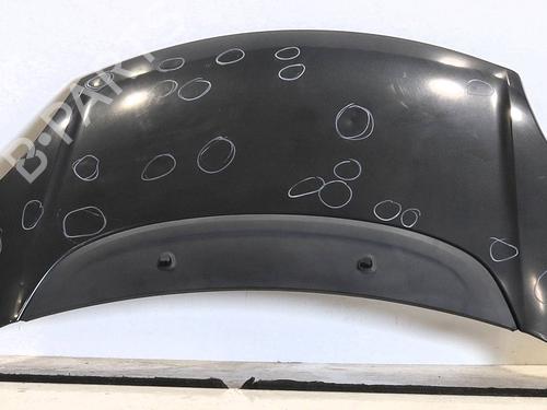 hood-fiat-500l-351_-352_-2012-29166961 main image