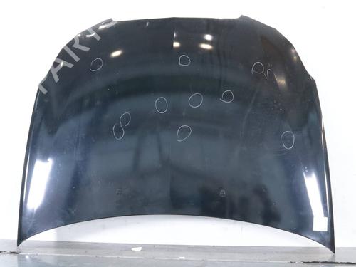 Used Hood Hood LANCIA DELTA III (844_) 1.6 D Multijet (844.AXC11, 844.AXC1A) (120 hp) 33284802 33284802