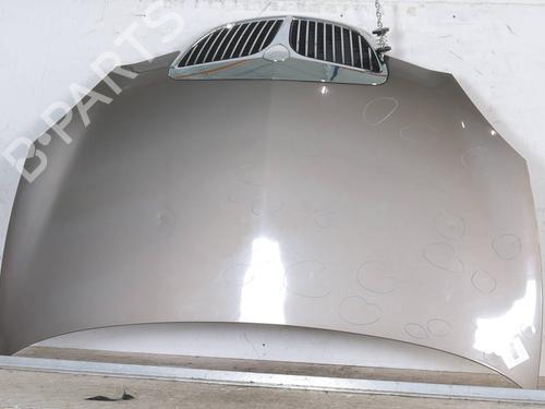 Used Hood LANCIA YPSILON (843_) 1.2 (843.AXA1A) (60 hp) 27722873