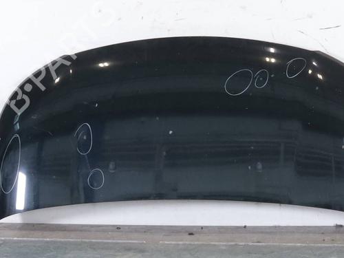 hood-citroen-c3-picasso-sh_-2008-34578154 main image