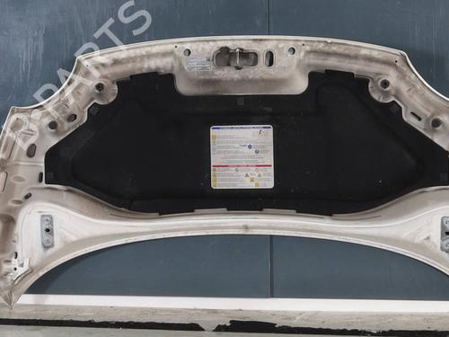 Hood FIAT 500 (312_) 1.2 (312AXA1A) | BP29481027C1 