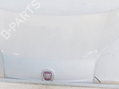 Used Hood FIAT FIORINO Box Body/MPV (225_) 1.3 D Multijet (225BXD1A, 225BXB1A, 225BXB11) (75 hp) 27640392