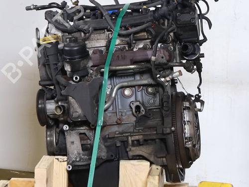 Engine FIAT PANDA (169_) 1.3 D Multijet (169.AXC1A) | BP31902159M1 - Image 4