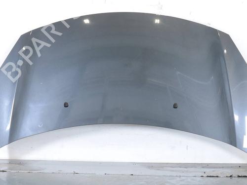 hood-citroen-c3-ii-sc_-2009-31793770 main image