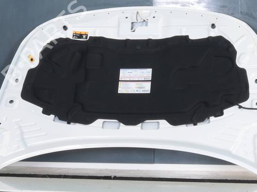 Hood FIAT TIPO Hatchback (356_, 357_) 1.5 T4 Hybrid | BP23044339C1