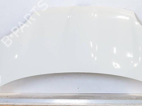 Used Hood FIAT DOBLO Cargo (263_) 1.6 D Multijet (90 hp) 23505197