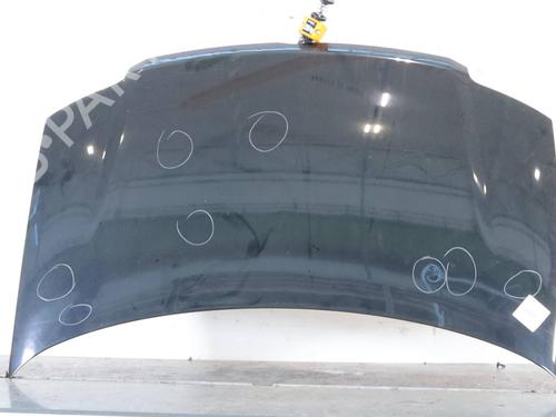 hood-fiat-panda-169_-2003-33615814 main image