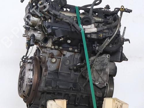 Used Engine FIAT PANDA (169_) 1.3 D Multijet (169.AXC1A) (70 hp) 31902159