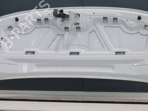 Used Hood OPEL COMBO Box Body/MPV (K9) Combo-e (136 hp) 30360825