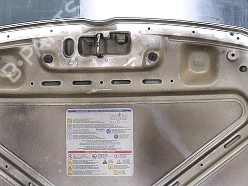 Hood FIAT PANDA (169_) 1.2 (169.AXB11, 169.AXB1A) | BP29008852C1 