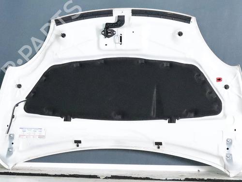 Hood FIAT 600e / 600 (365_, 364_) Electric | BP29945594C1