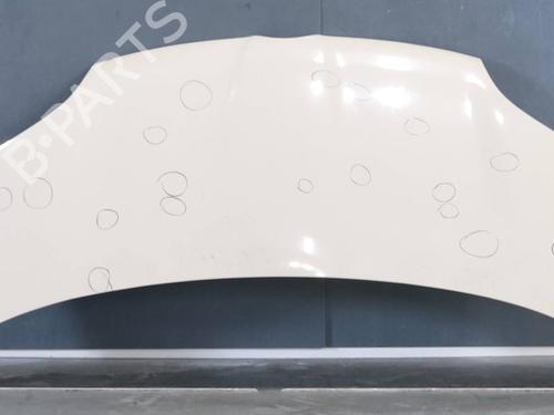 hood-fiat-panda-312_-319_-2012-40523631 main image