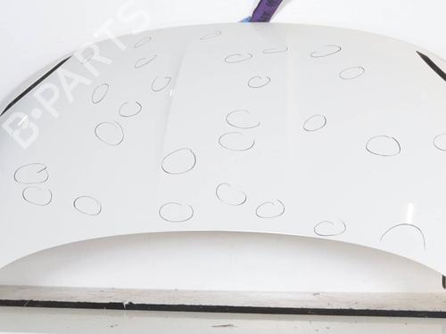 BP23441160C1 main image