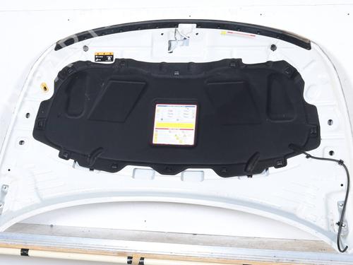 hood-fiat-tipo-hatchback-356_-357_-16-multijet-357hxg1-52110085-2016-22966577 main image