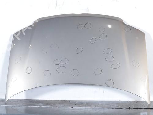 hood-fiat-panda-169_-2003-32706370 main image