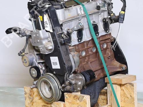 Engine FIAT PANDA (312_, 319_) 1.2 (312PXA1A) | BP37690709M1  - Image 5