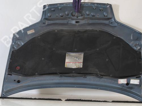Hood FIAT PUNTO (188_) 1.2 16V 80 (188.233, .235, .253, .255, .333, .353, .639,... | BP29618238C1 