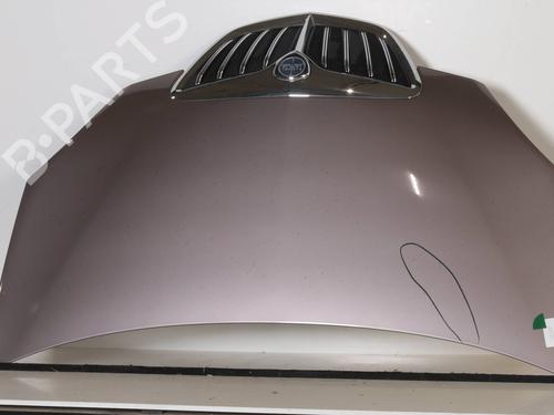 Used Hood Hood LANCIA MUSA (350_) 1.3 D Multijet (350.AXG11, 350.AXG1A) (90 hp) 30260856 30260856