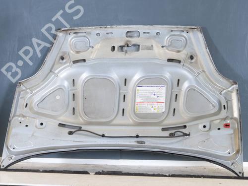 Hood FIAT GRANDE PUNTO (199_) 1.4 (199AXB11, 199AXB1A, 199BXB1A, 199AXL1A) | BP29453902C1 