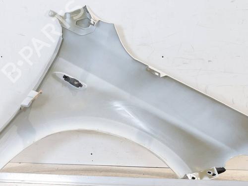 Left front fenders FIAT TIPO Saloon (356_, 357_) 1.4 (356SXA1B) | BP24450396C41 