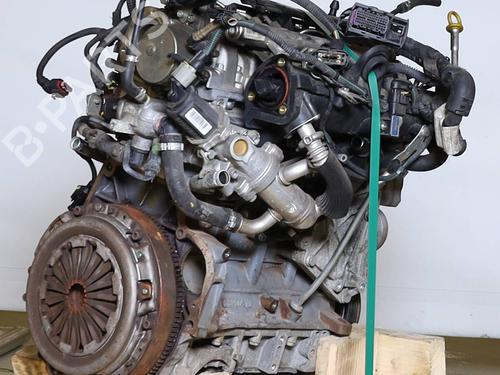 Engine FIAT IDEA (350_) 1.3 D Multijet | BP37662458M1 - Image 4