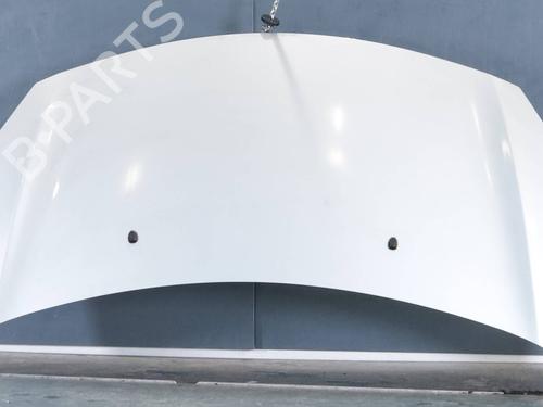 hood-citroen-c3-ii-sc_-2009-33285088 main image