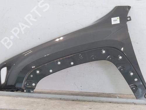 left-front-fenders-jeep-compass-mk49-2006-27640384 main image