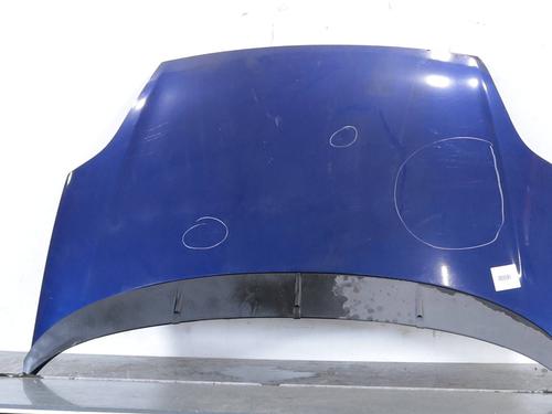 hood-fiat-grande-punto-199_-2005-33055561 main image