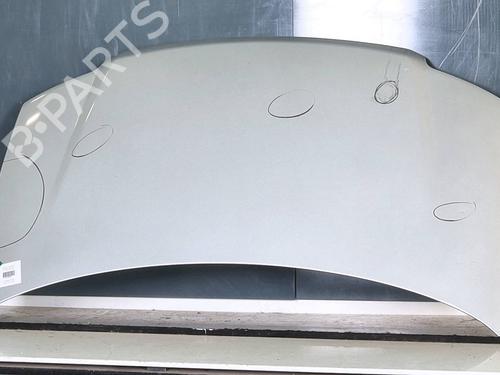 Used Hood FIAT PANDA (169_) 1.2 (169.AXB11, 169.AXB1A) (60 hp) 29008852