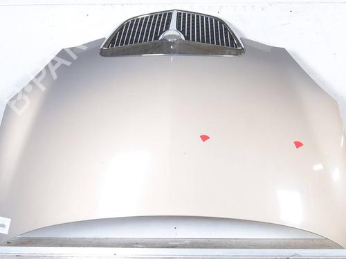 Used Hood LANCIA YPSILON (843_) 1.4 16V (843.AXC11, 843.AXC1B, 843.AXC1A) (95 hp) 25913420