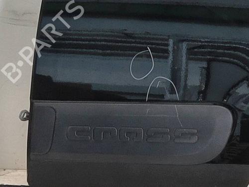 Left rear door FIAT PANDA (312_, 319_) 1.0 Mild Hybrid | BP27204891C4 