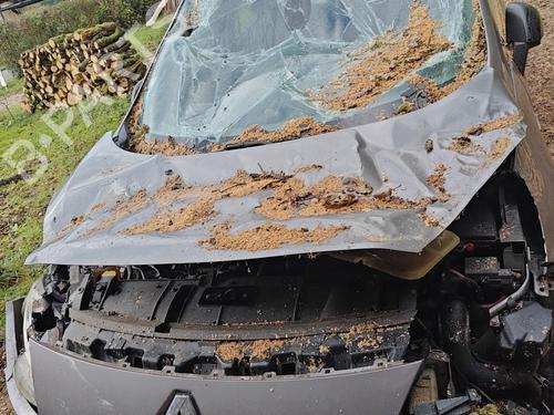 Switch RENAULT SCÉNIC III (JZ0/1_) 1.6 dCi (JZ00, JZ12) | BP23220251I30 