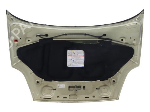 Hood FIAT GRANDE PUNTO (199_) 1.4 16V (199BXG1B, 199AXG1B) | BP20180366C1 