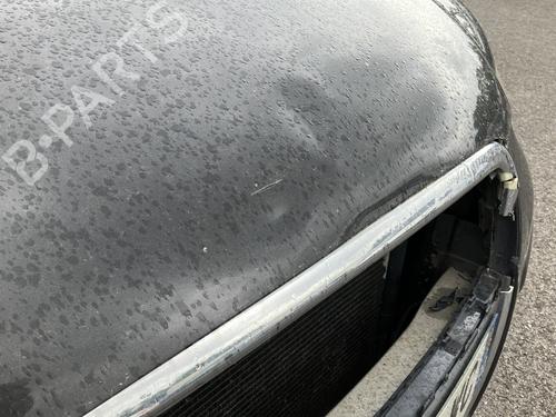 Left headlight AUDI A3 (8P1) 2.0 TDI 16V | BP30505406C28 - Image 16