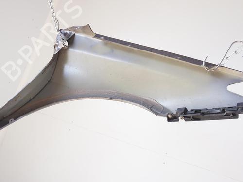 Left front fenders RENAULT LAGUNA III (BT0/1) 1.5 dCi (BT00, BT0A, BT0T, BT1J) | BP18183561C41 