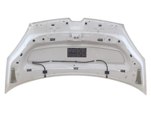 hood-renault-kangoo-express-fw01_-2008-34009210 main image