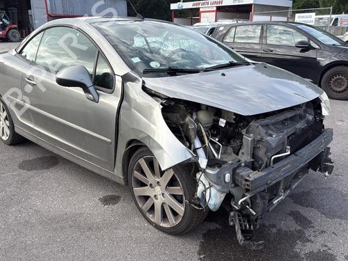 Left front door PEUGEOT 207 CC (WD_) 1.6 HDi | BP29481098C2 