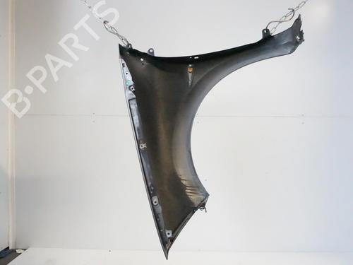 Right front fenders RENAULT MEGANE II (BM0/1_, CM0/1_) 1.5 dCi (BM1E, CM1E) | BP18195249C42 
